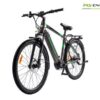 MS ENERGY eBike t100