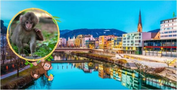 Posjetite "grad anđela" VELDEN, JEZERO WÖRTHERSEE te PLANINU MAJMUNA sa više<...