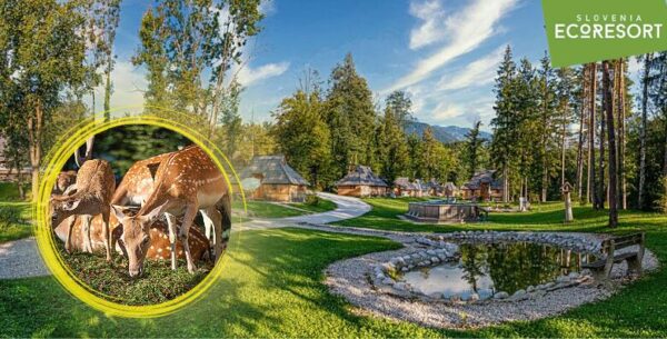 Slovenia Eco Resort - uživajte u bajkovitom okruženju Velike Planine u drveno...