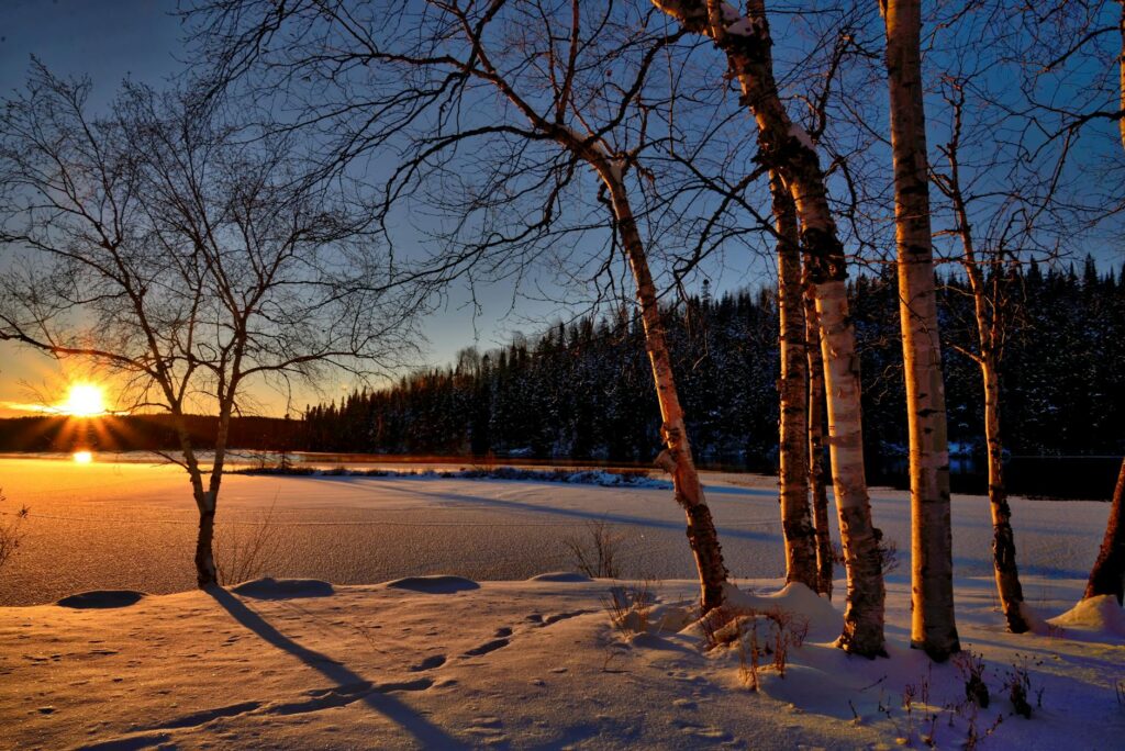 snowy field during golden hour