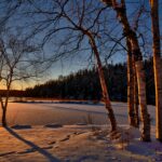 snowy field during golden hour