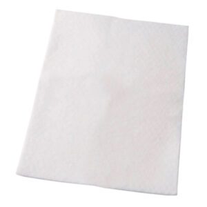 Electrolux EF2 filter za usisavač