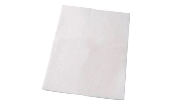 Electrolux EF2 filter za usisavač