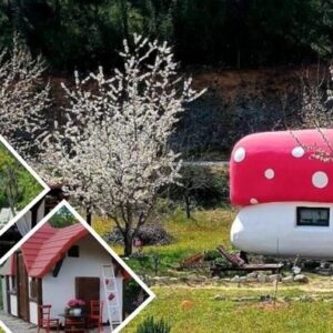 SKRADIN - doživite poseban odmor u kućici kao iz bajke<br> uz 2 noćenja za do... – Jadran ponuda