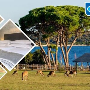 main_d685 BRIJUNI, Hotel Istra 3* - bijeg od stvarnosti u drugačiji svijet flore i faun... – Jadran ponuda