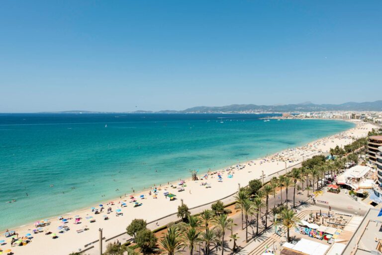 aerial view of people on the beach